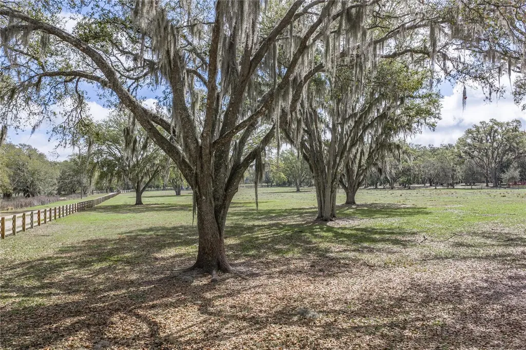 15131 Bellamy Brothers Boulevard Dade City FL 33525