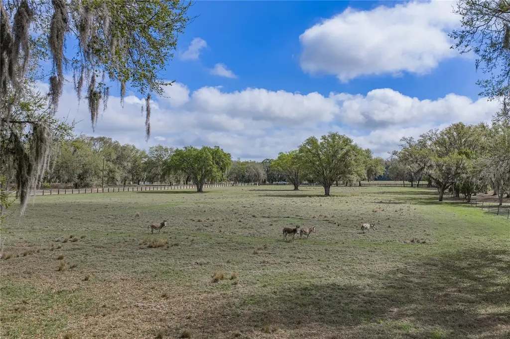 15131 Bellamy Brothers Boulevard Dade City FL 33525