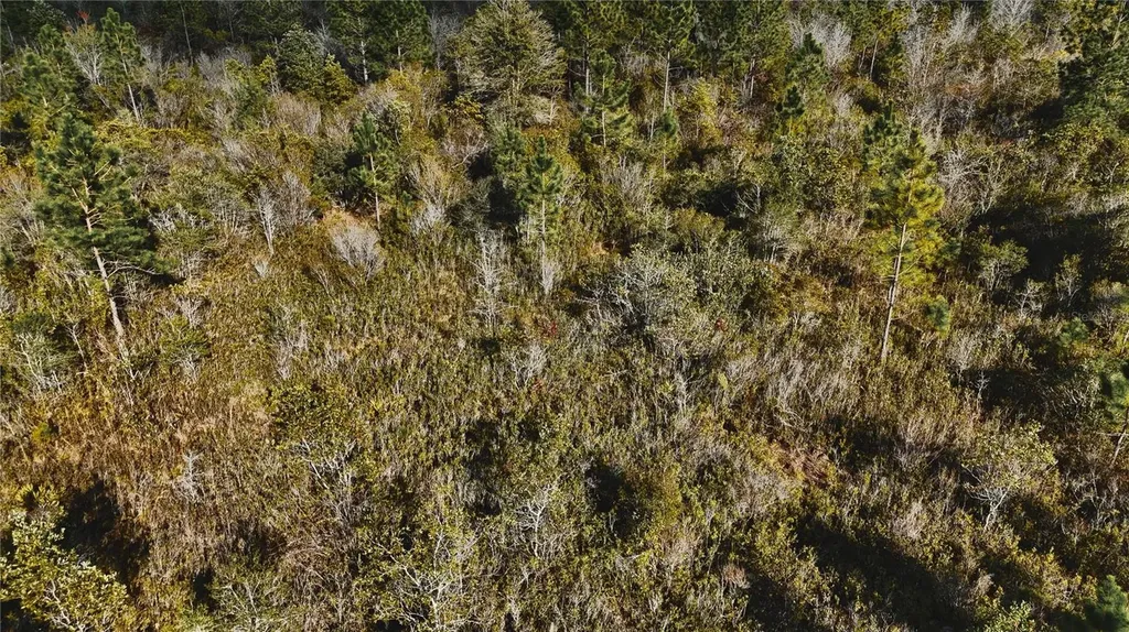 00 W Market Road Starke FL 32091