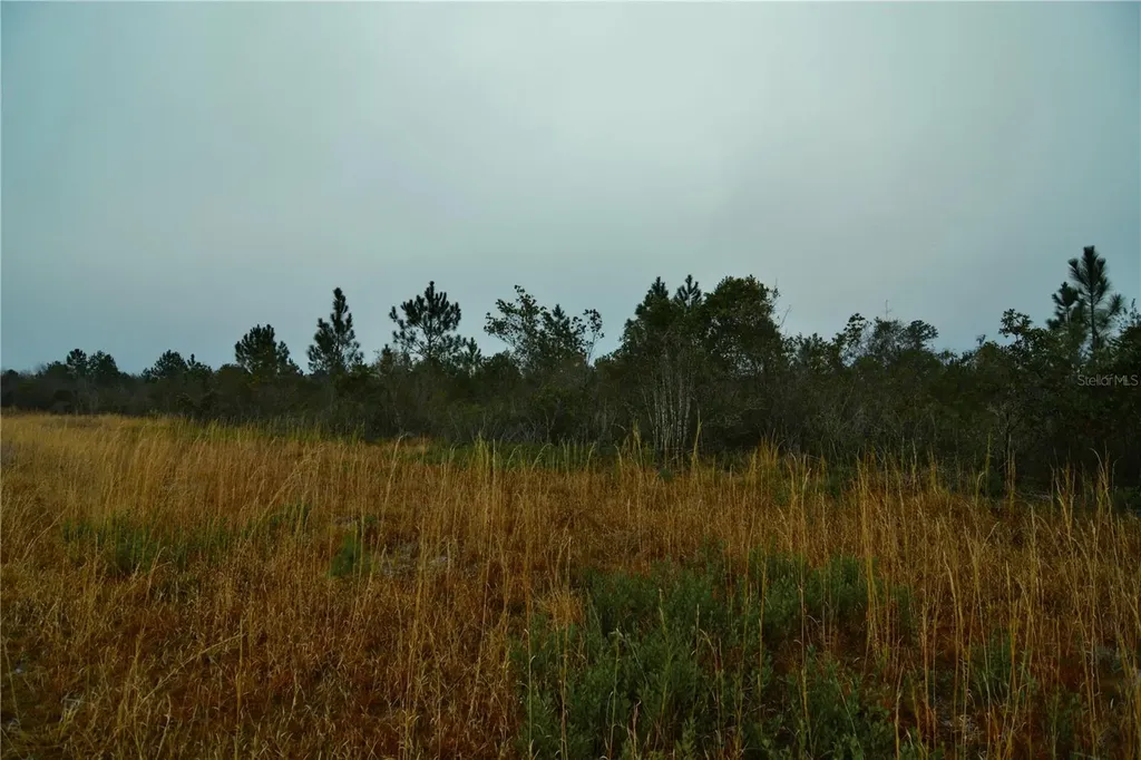 00 W Market Road Starke FL 32091