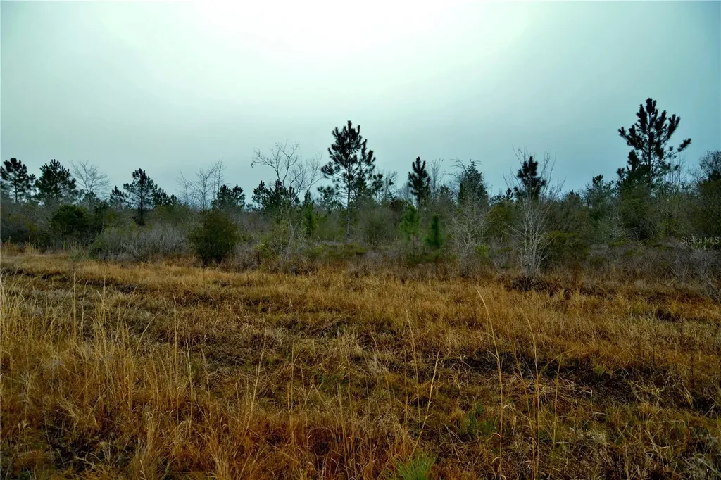 00 W Market Road Starke FL 32091