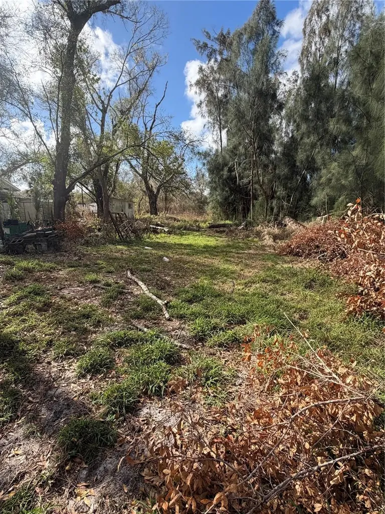 1211 NW Eucalyptus Avenue Arcadia FL 34266