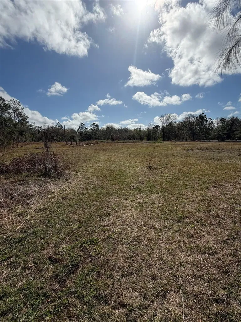 1211 NW Eucalyptus Avenue Arcadia FL 34266