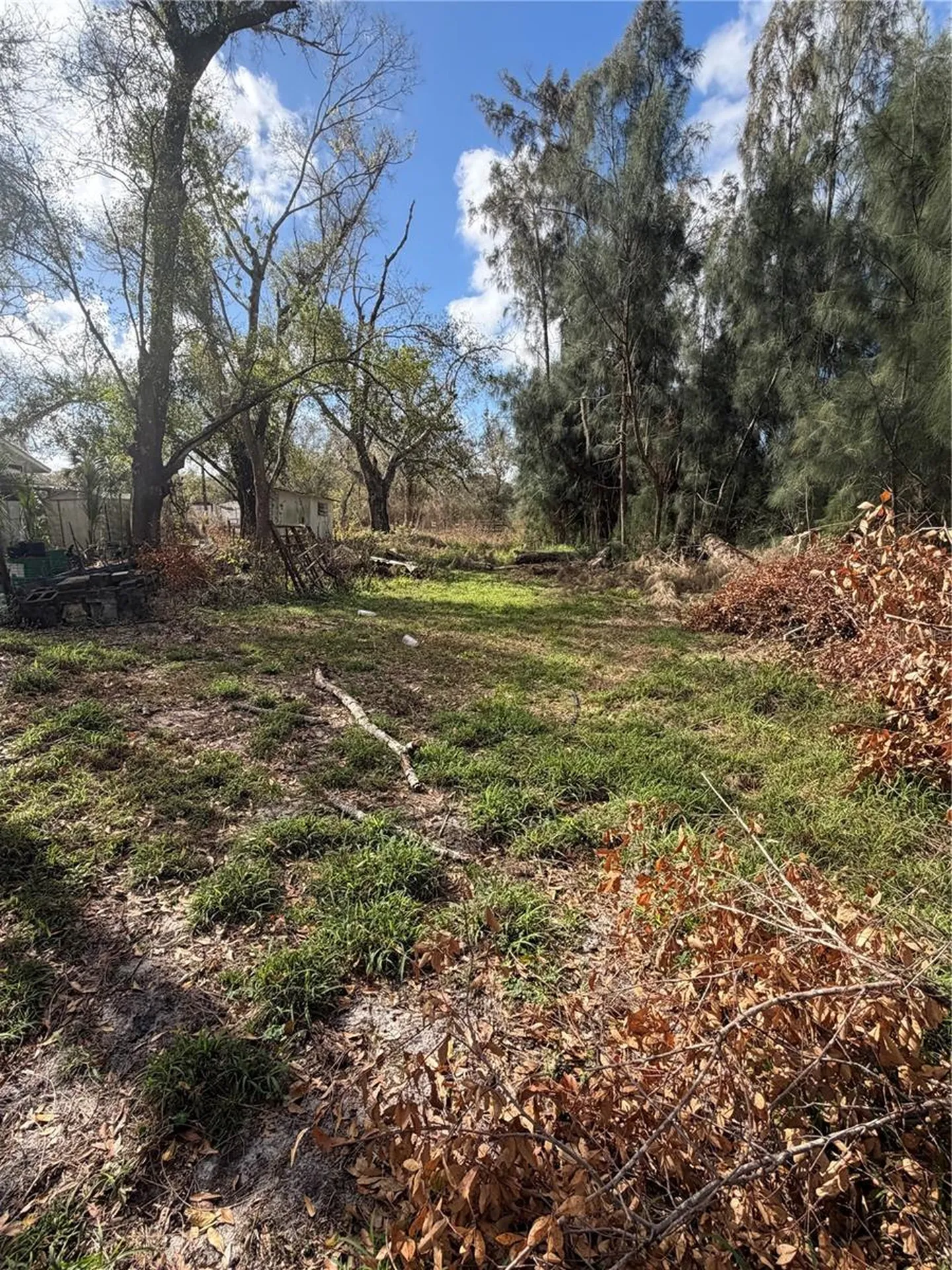 1211 NW Eucalyptus Avenue Arcadia FL 34266