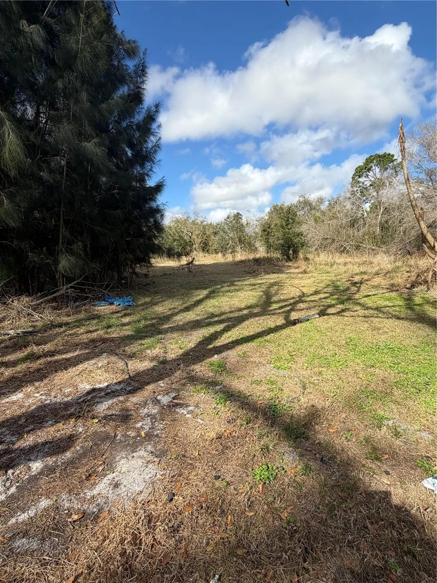1211 NW Eucalyptus Avenue Arcadia FL 34266
