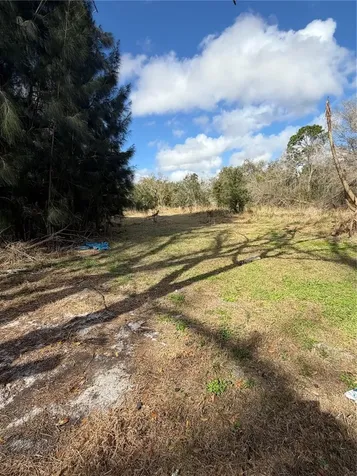 1211 NW Eucalyptus Avenue Arcadia FL 34266