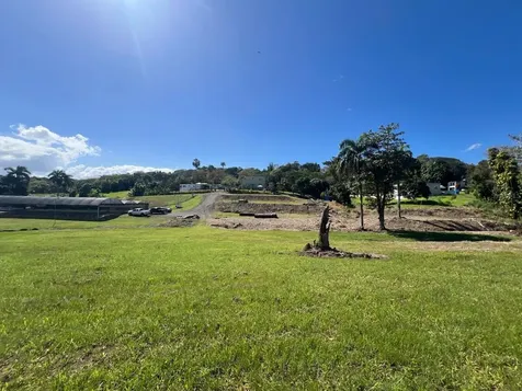 Pugnado Adentro Morovis PR 00687