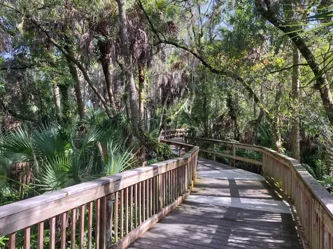 209 Mestre Place North Venice FL 34275