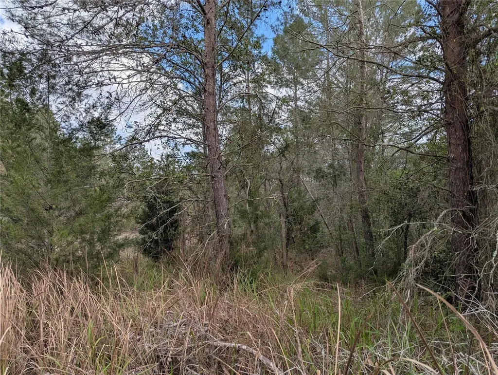 0 Gannet Avenue Weeki Wachee FL 34613