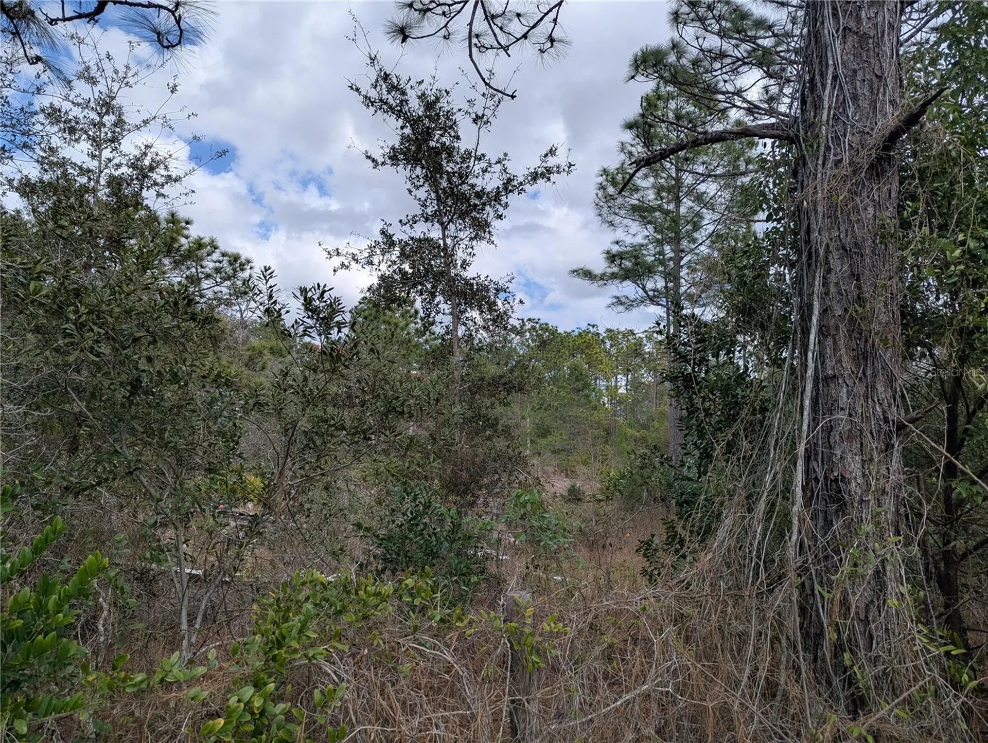 0 Gannet Avenue Weeki Wachee FL 34613
