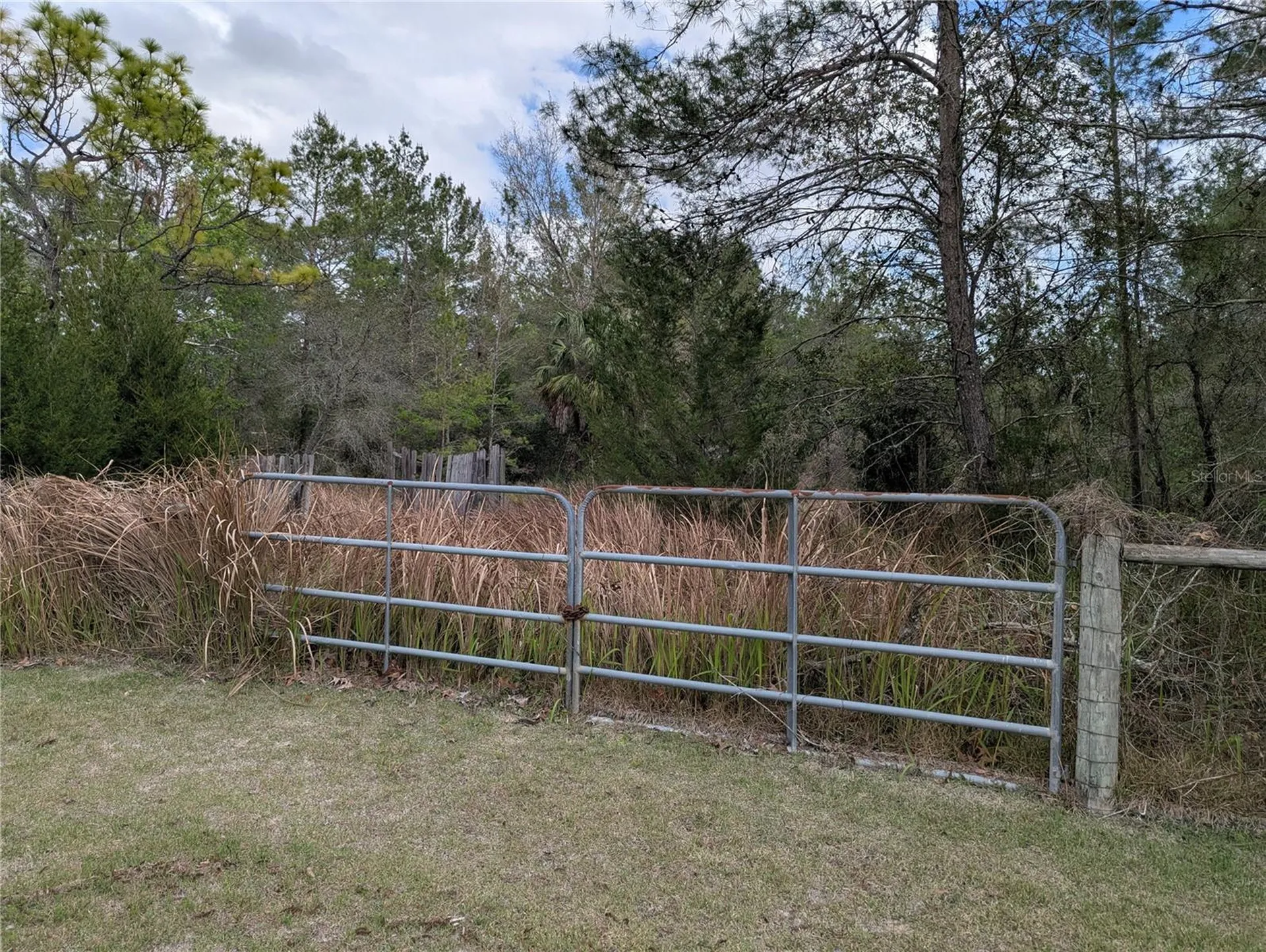 0 Gannet Avenue Weeki Wachee FL 34613