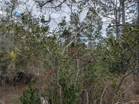 0 Gannet Avenue Weeki Wachee FL 34613