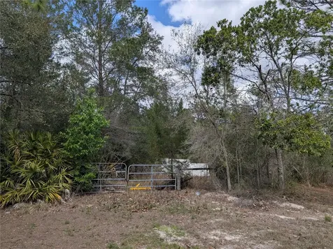 0 Gannet Avenue Weeki Wachee FL 34613