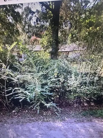 2180 Bonifay Gritney Road Caryville FL 32425