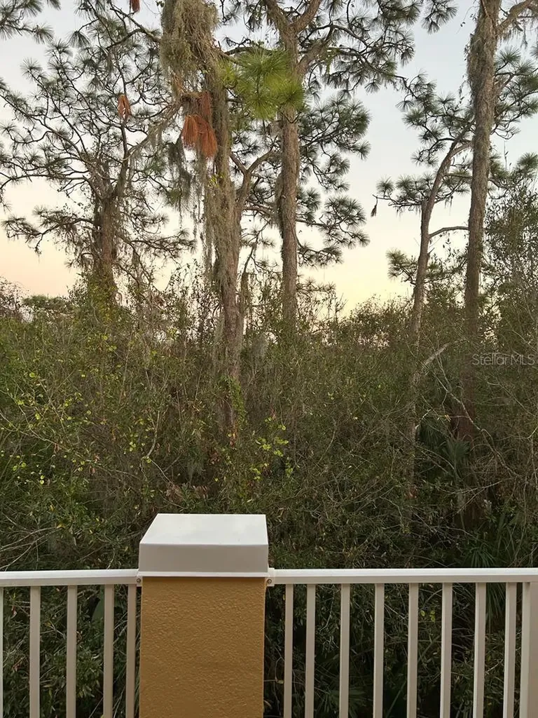 8807 White Sage Loop Lakewood Ranch FL 34202
