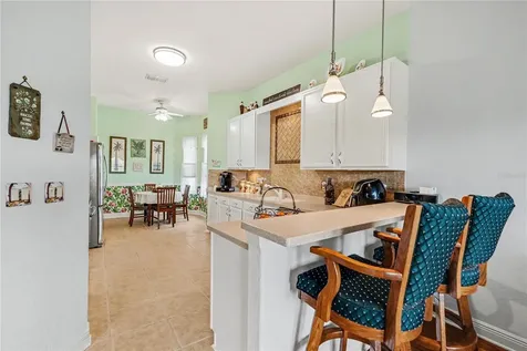 10412 Old Tampa Bay Drive San Antonio FL 33576
