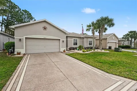 10412 Old Tampa Bay Drive San Antonio FL 33576