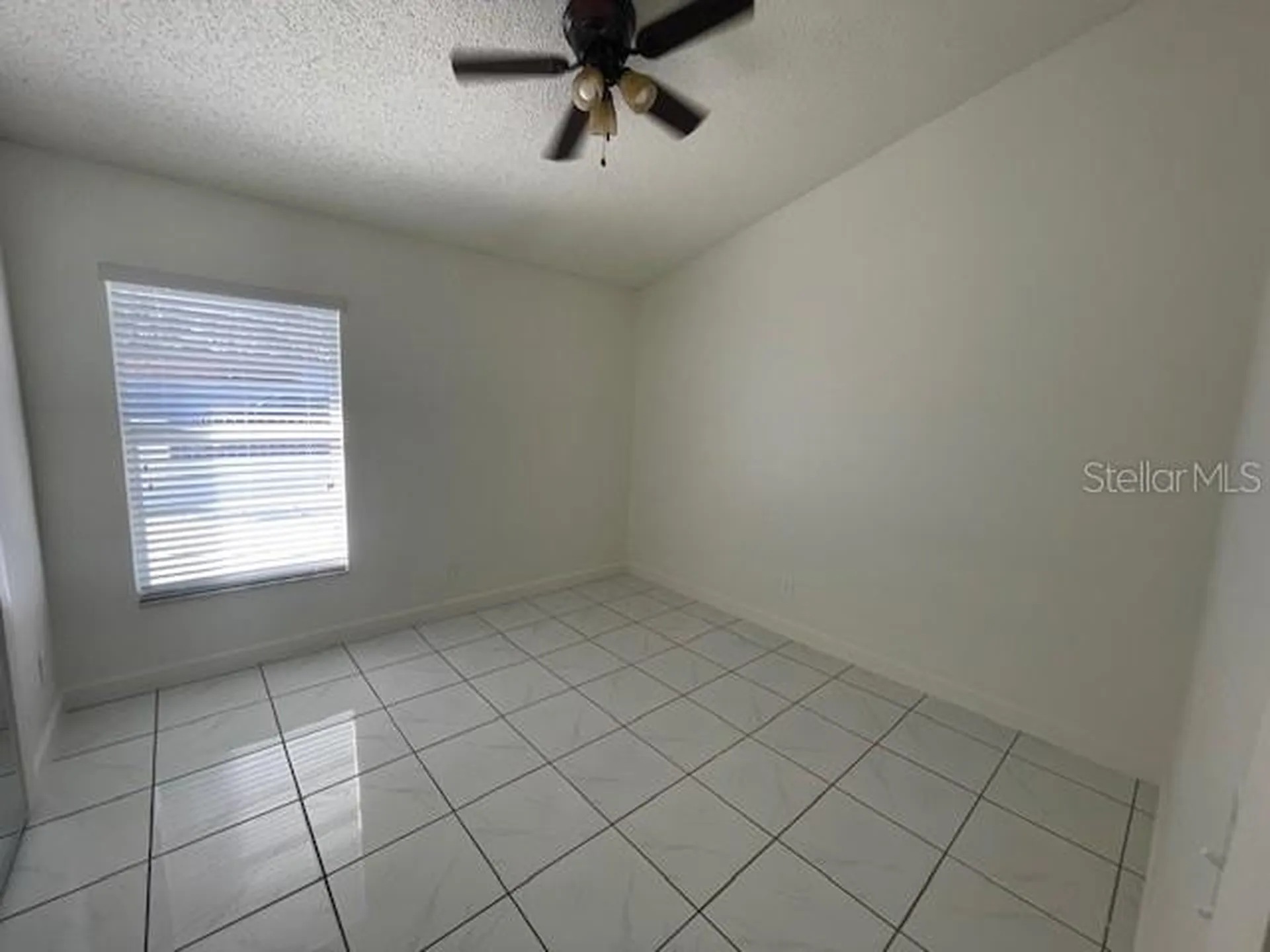 7001 N Clark Avenue Tampa FL 33614