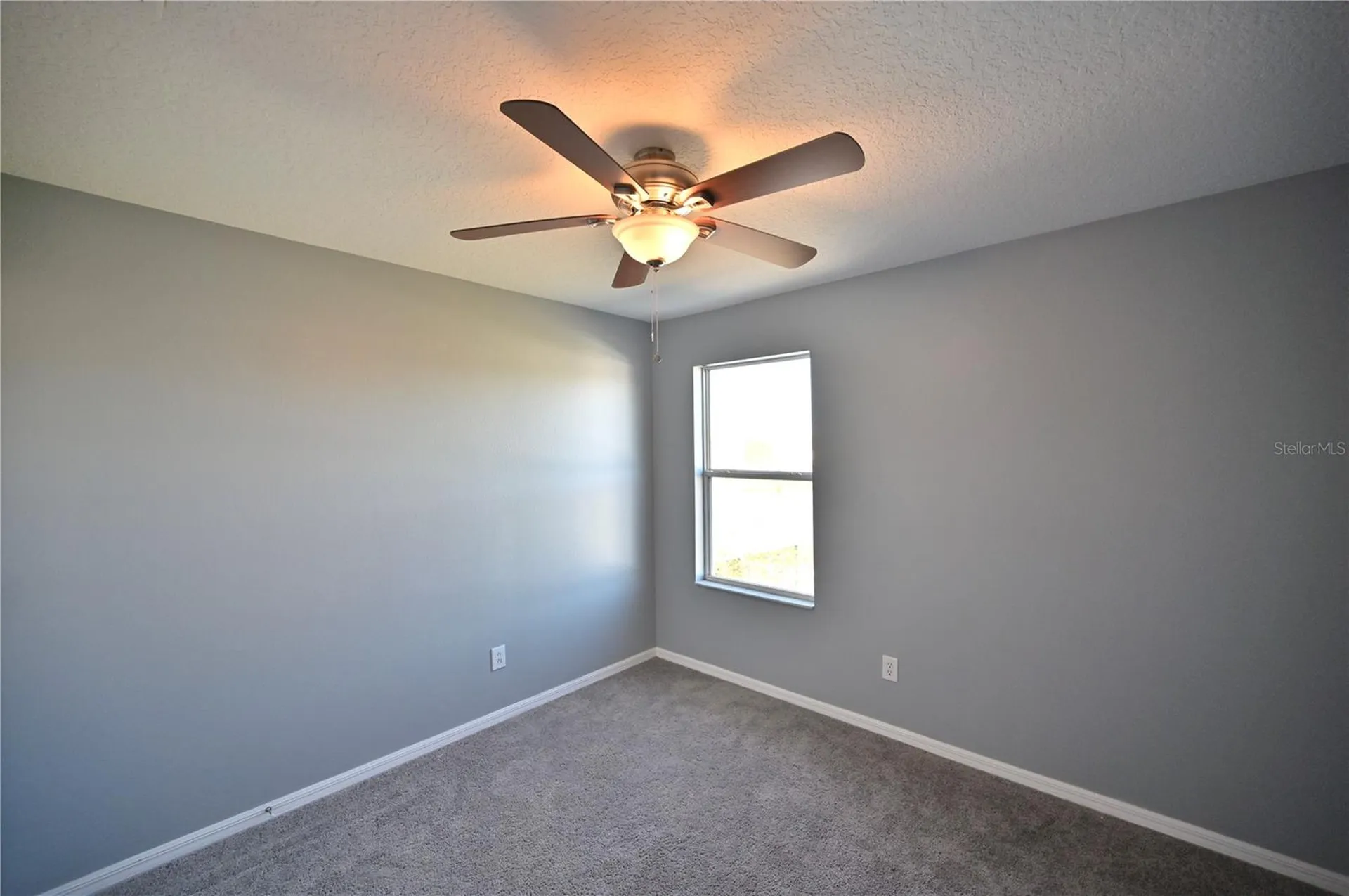 10922 Subtle Trail Drive Riverview FL 33579
