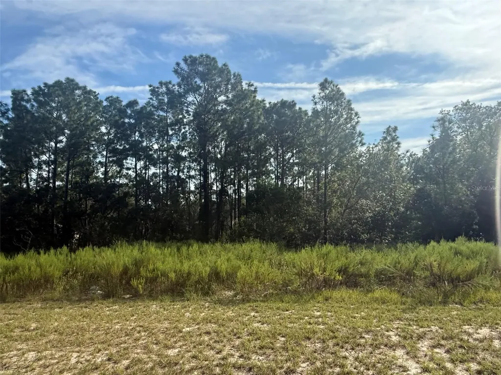 Tbd SW 135th Street Road Ocala FL 34473