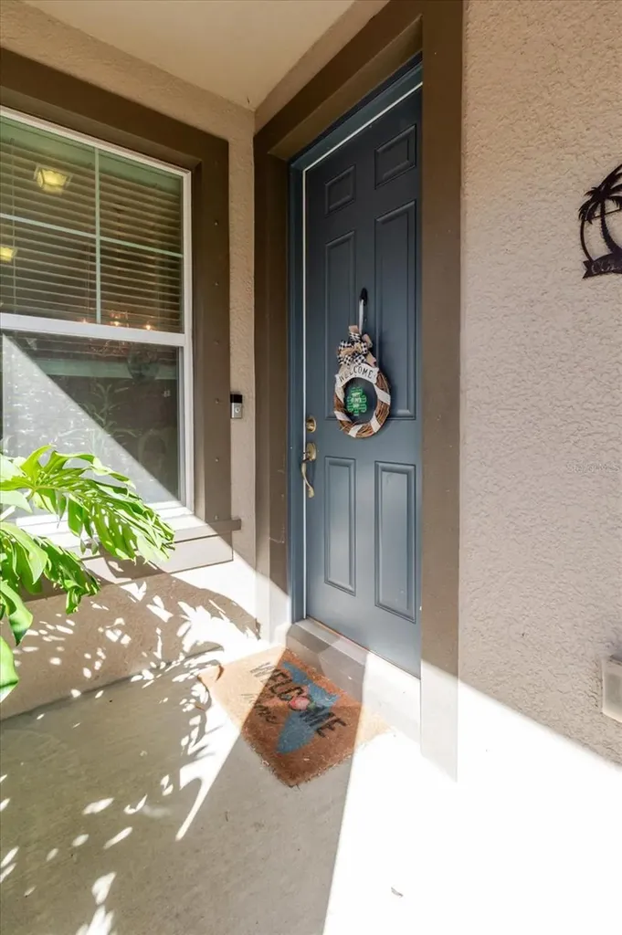 6516 Salt Creek Avenue Apollo Beach FL 33572