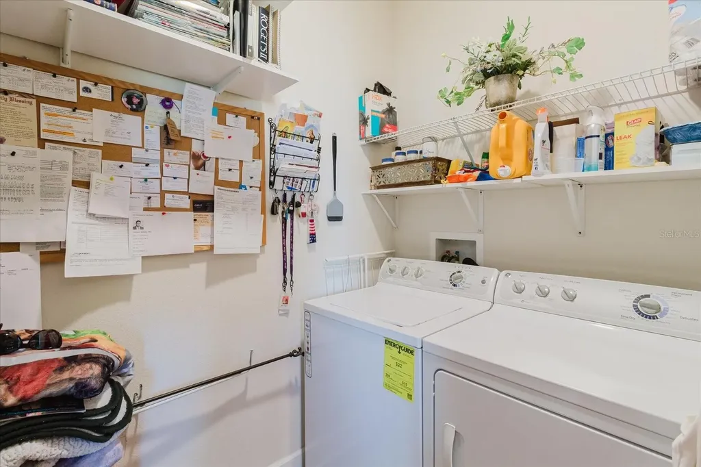 6516 Salt Creek Avenue Apollo Beach FL 33572