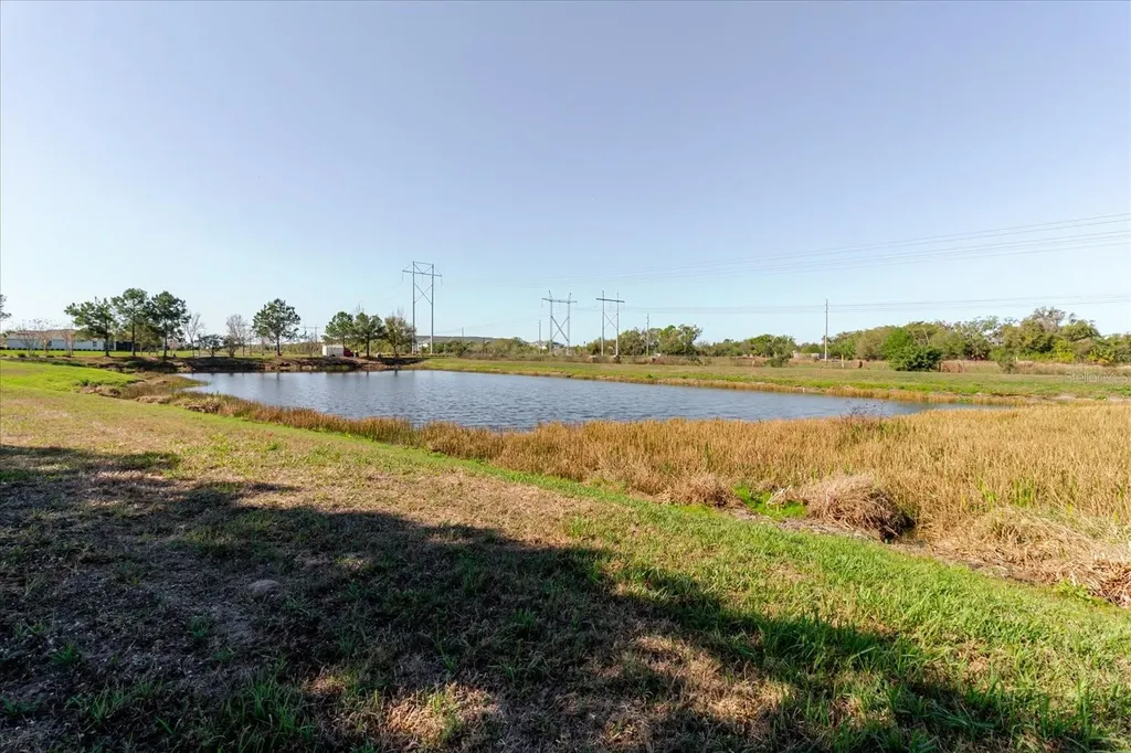6516 Salt Creek Avenue Apollo Beach FL 33572