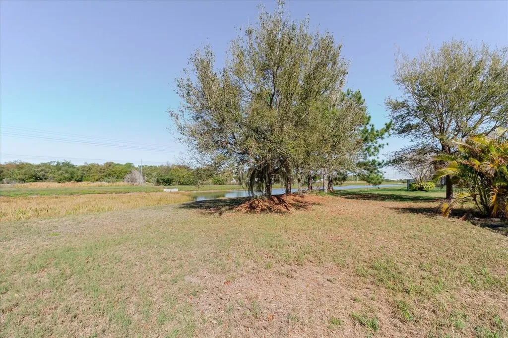 6516 Salt Creek Avenue Apollo Beach FL 33572