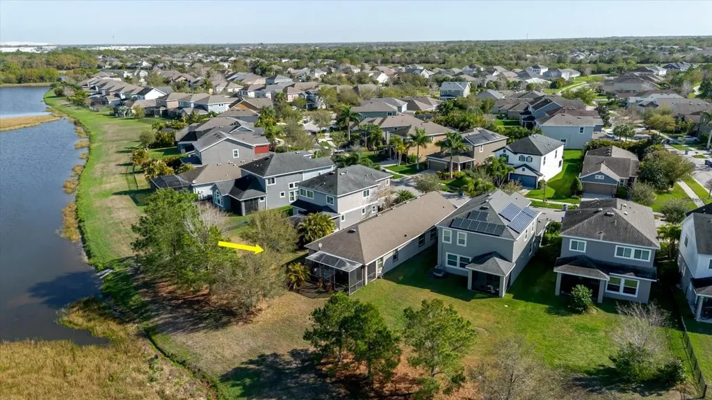 6516 Salt Creek Avenue Apollo Beach FL 33572