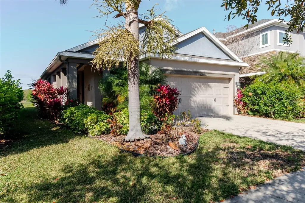 6516 Salt Creek Avenue Apollo Beach FL 33572