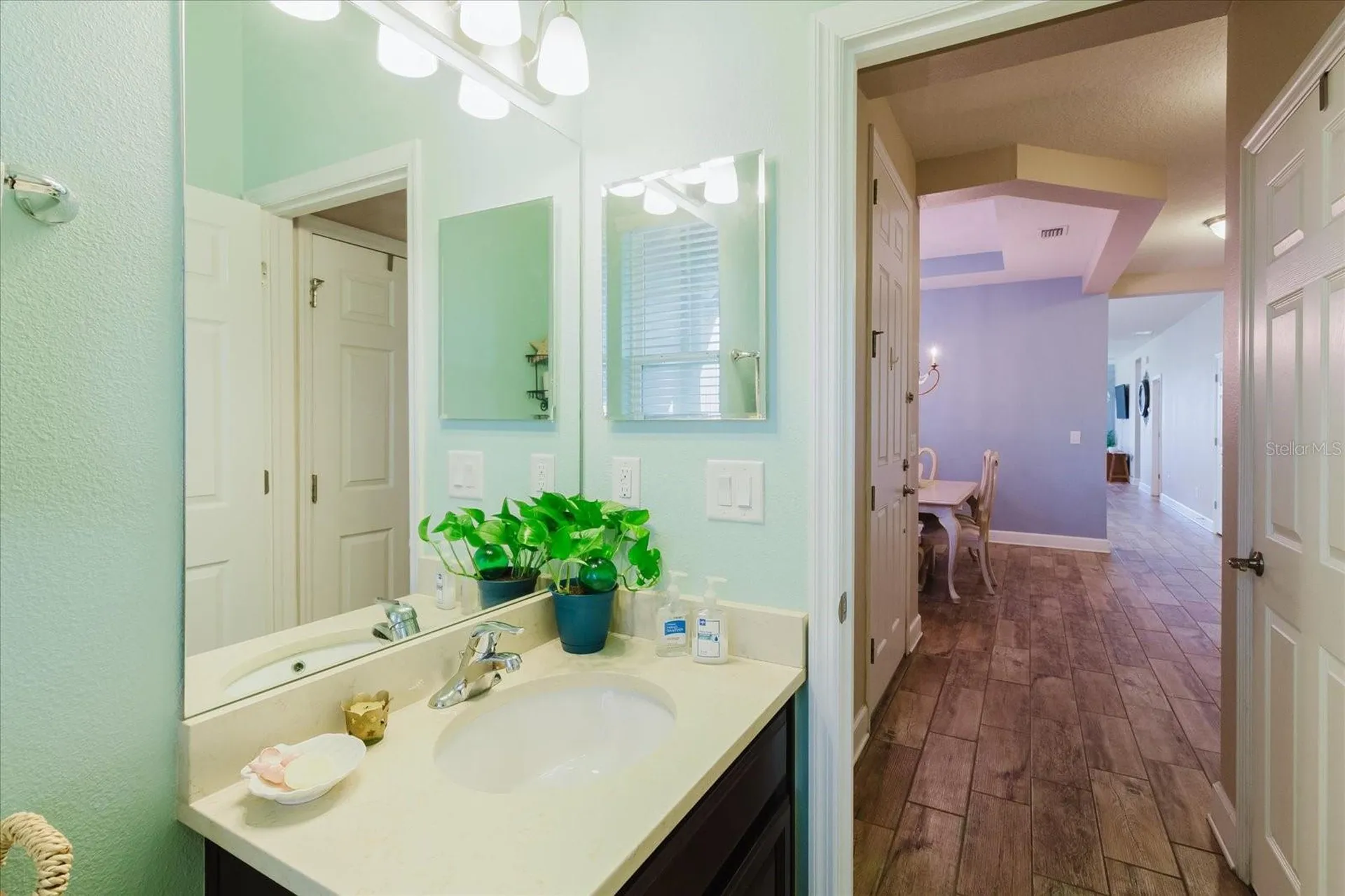 6516 Salt Creek Avenue Apollo Beach FL 33572