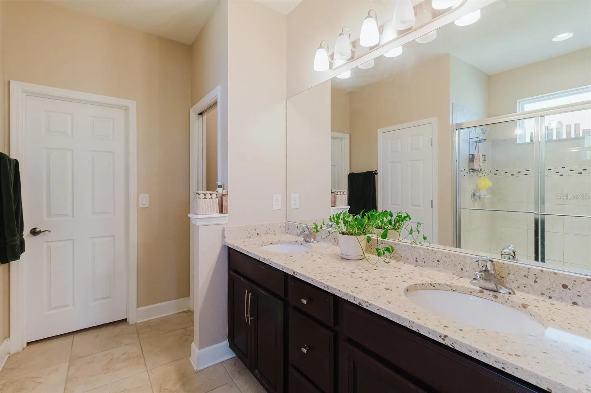 6516 Salt Creek Avenue Apollo Beach FL 33572