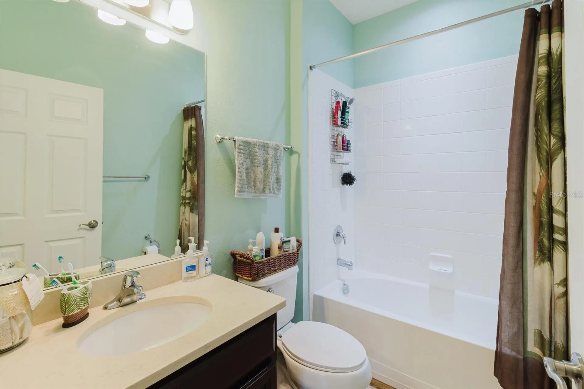 6516 Salt Creek Avenue Apollo Beach FL 33572