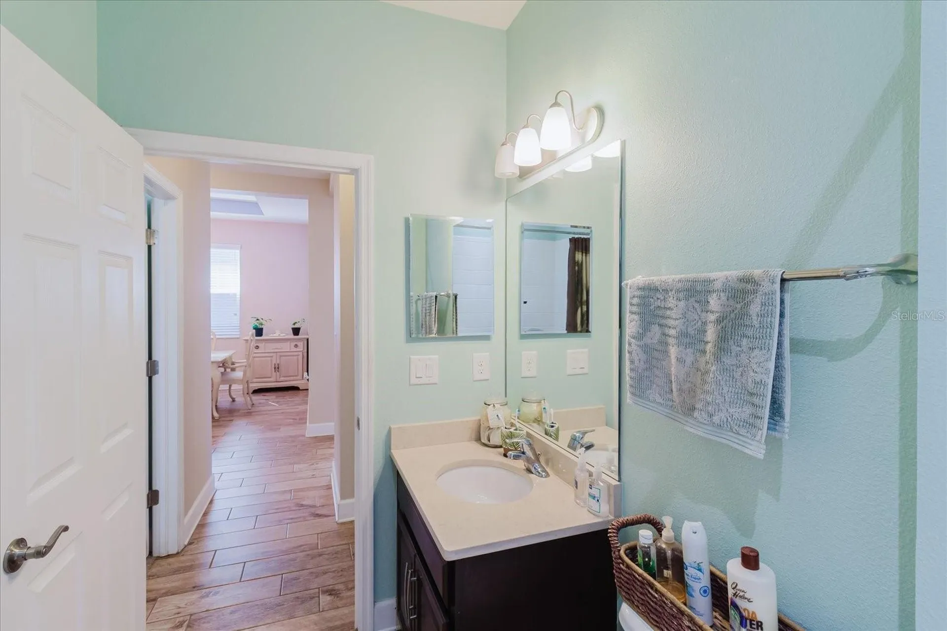 6516 Salt Creek Avenue Apollo Beach FL 33572