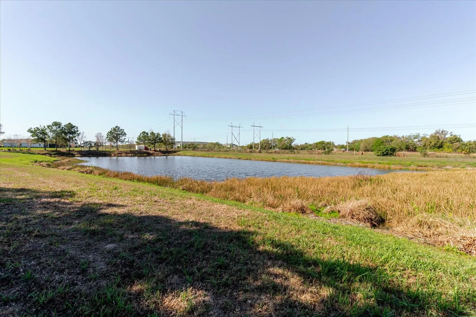 6516 Salt Creek Avenue Apollo Beach FL 33572