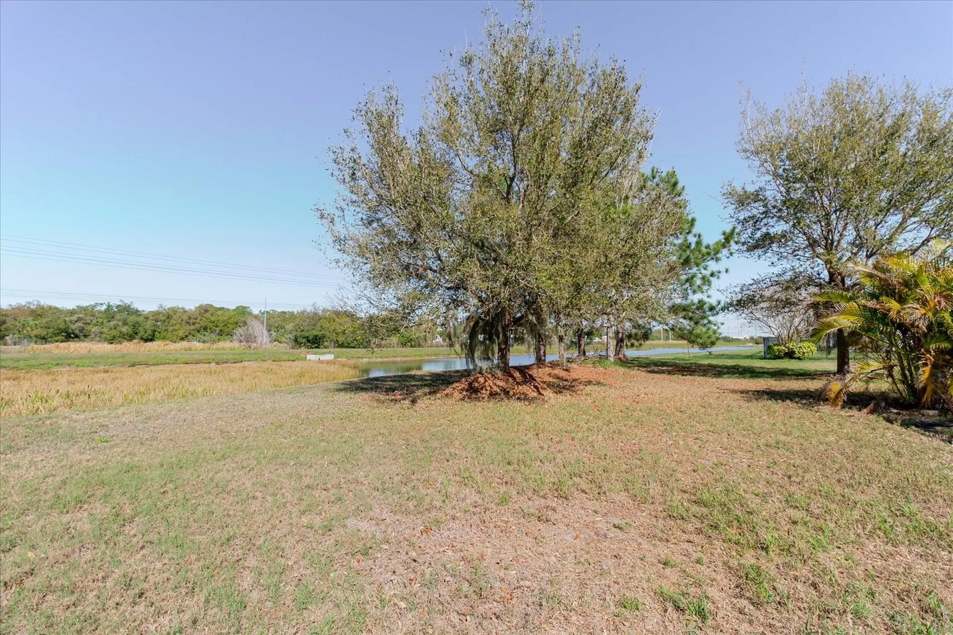6516 Salt Creek Avenue Apollo Beach FL 33572