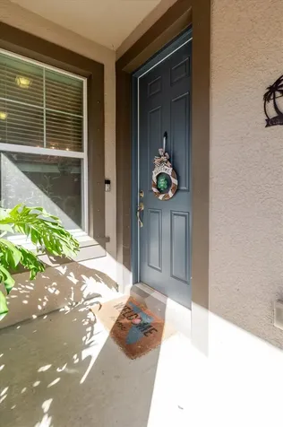 6516 Salt Creek Avenue Apollo Beach FL 33572