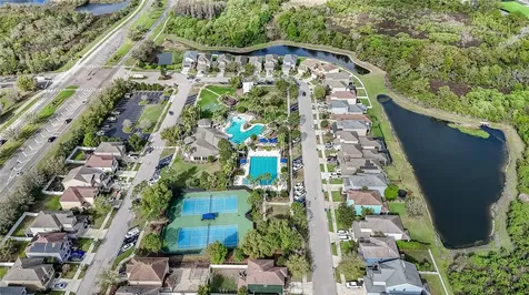 32863 Woodthrush Way Wesley Chapel FL 33545