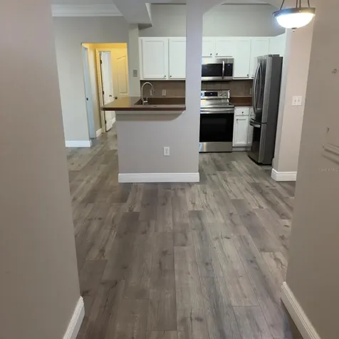 12861 Madison Pointe Circle Orlando FL 32821