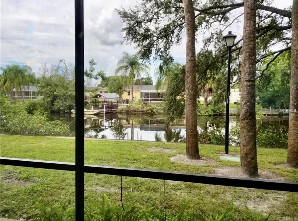 9119 Tudor Drive Tampa FL 33615