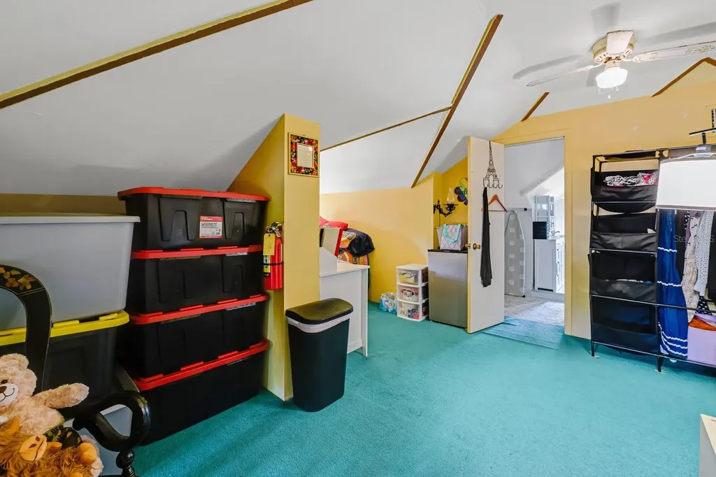 347 E 3rd Avenue Mount Dora FL 32757