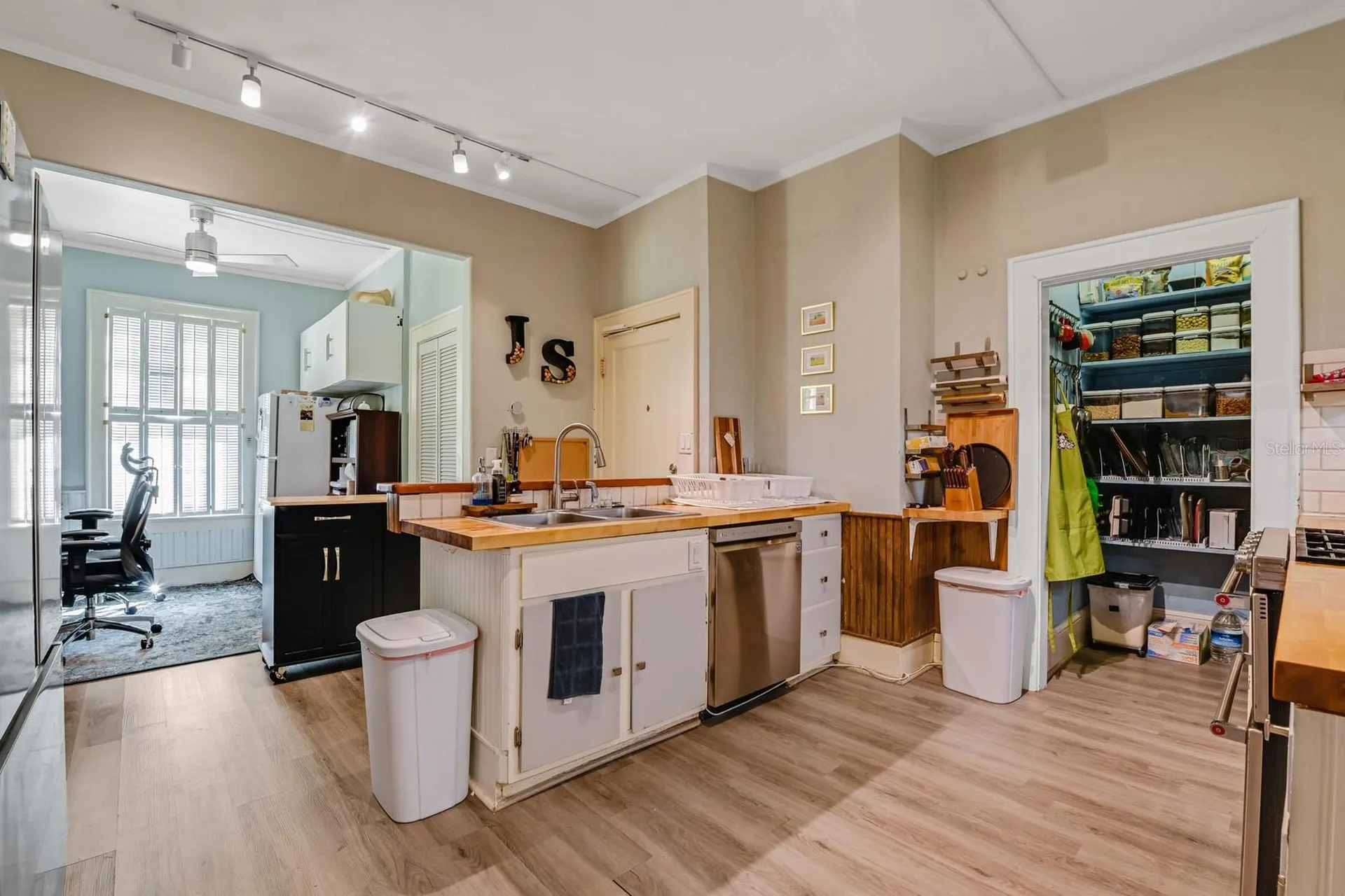 347 E 3rd Avenue Mount Dora FL 32757