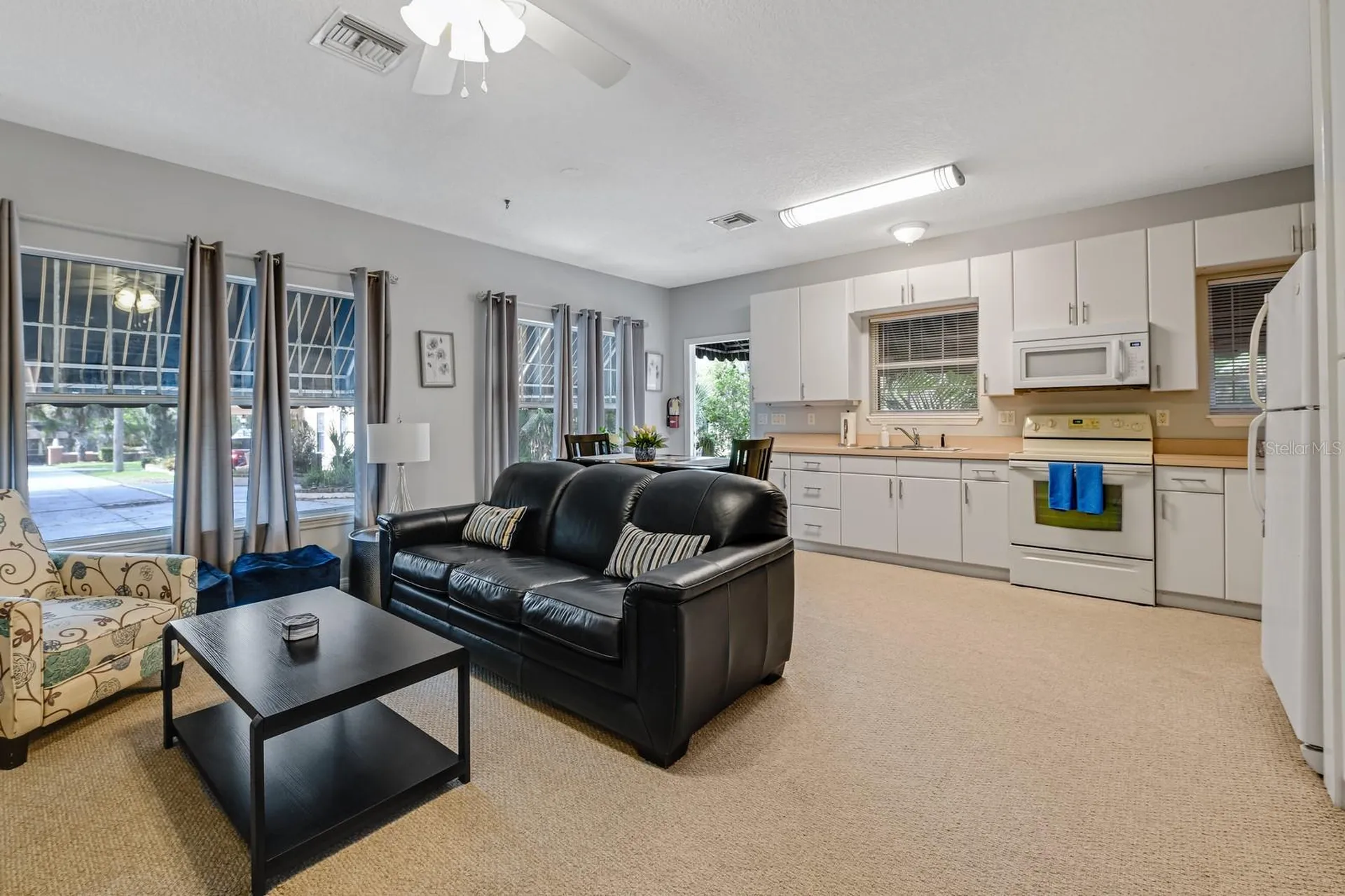 347 E 3rd Avenue Mount Dora FL 32757