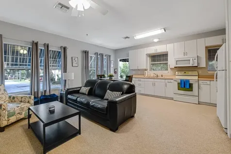 347 E 3rd Avenue Mount Dora FL 32757