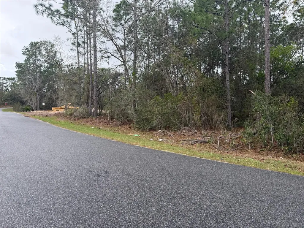 0000 Fir Drive Track Ocala FL 34472
