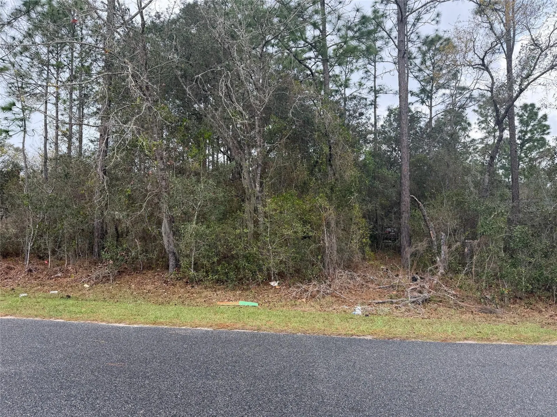 0000 Fir Drive Track Ocala FL 34472