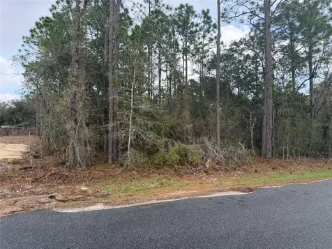 0000 Fir Drive Track Ocala FL 34472