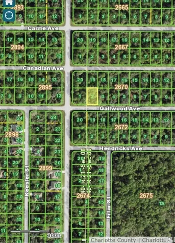 14012 Gailwood Avenue Port Charlotte FL 33953