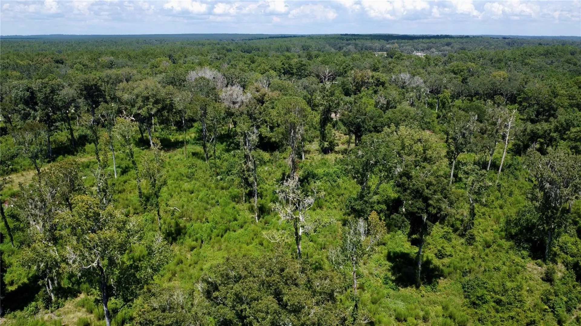 Us Highway 27 Ocala FL 34482