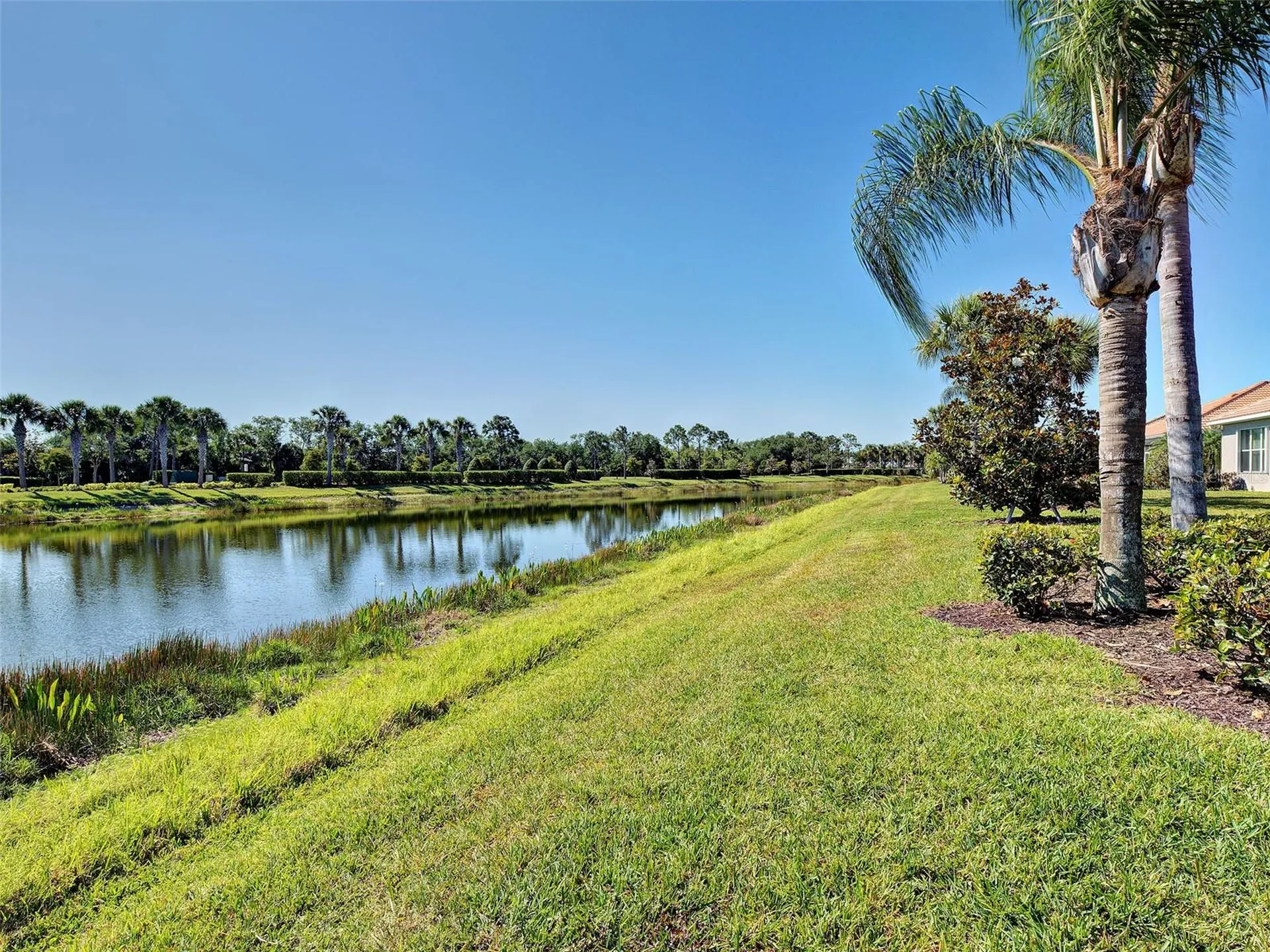 19396 Solarzano Street Venice FL 34293